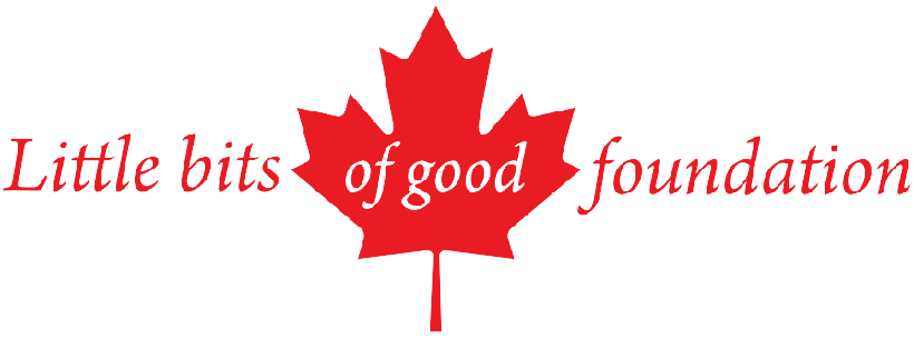 Little Bits of Good Foundation Logo
